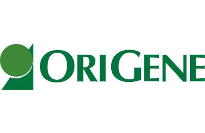 华盛顿特区OriGene Technologies招聘两则插图